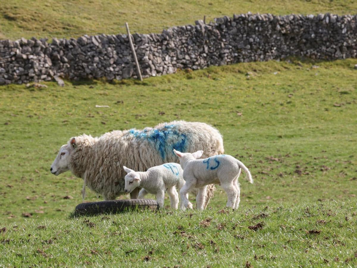 Shepherds Retreat Ashbourne  Bagian luar foto